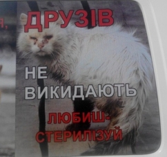 У Чернівцях з’явився перший автомобіль з соціальною рекламою