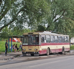 У Чернівцях затримали злодія в момент крадіжки