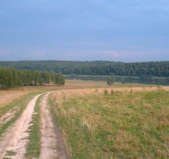 У Чернівецькій області водій заднім ходом збив на смерть жінку