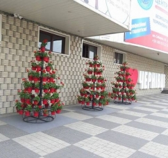 У Чернівцях поруч з інсталяцією «Я ♥ Чернівці» встановили квіткові піраміди