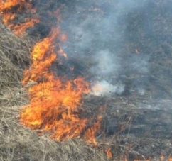 У Чернівецькій області заживо згоріла жінка