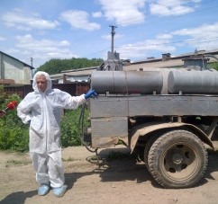 У Чернівецькій області вивозять і спалюють свиней через чуму