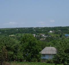 Житель Чернівецької області запевняє, що знайшов чупакабру