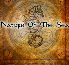 Nature of the sea - музыка сердца