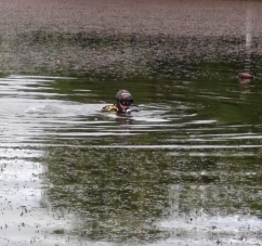 У Чернівецькій області втопився чоловік