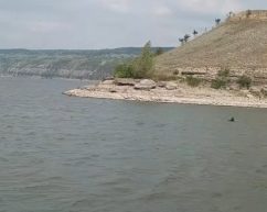 У Чернівецькій області у Дністрі потонув чоловік
