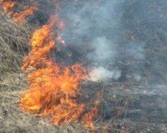 У Чернівецькій області заживо згоріла жінка