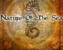 Nature of the sea – музыка сердца