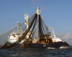 Российский корабль обстрелял турецких рыболовов в отместку за самолёт
