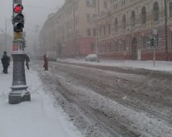 Чернівці замело снігом: чи працює громадський транспорт і які прогнози надалі?