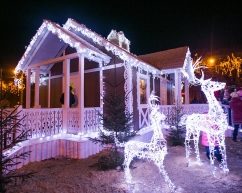 Які новорічні заходи можна відвідати у Чернівцях у грудні?