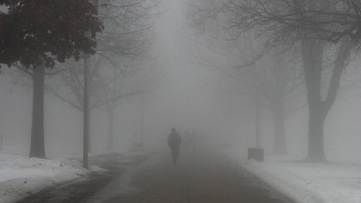 Попередження про туман та погану видимість у Чернівецькій області