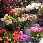 До Міжнародного жіночого дня у Чернівцях працюватиме квітковий ярмарок