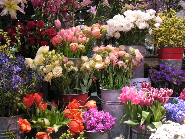До Міжнародного жіночого дня у Чернівцях працюватиме квітковий ярмарок