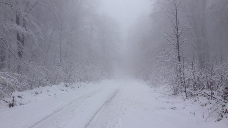У Чернівцях на Цецино випав сніг (фото)