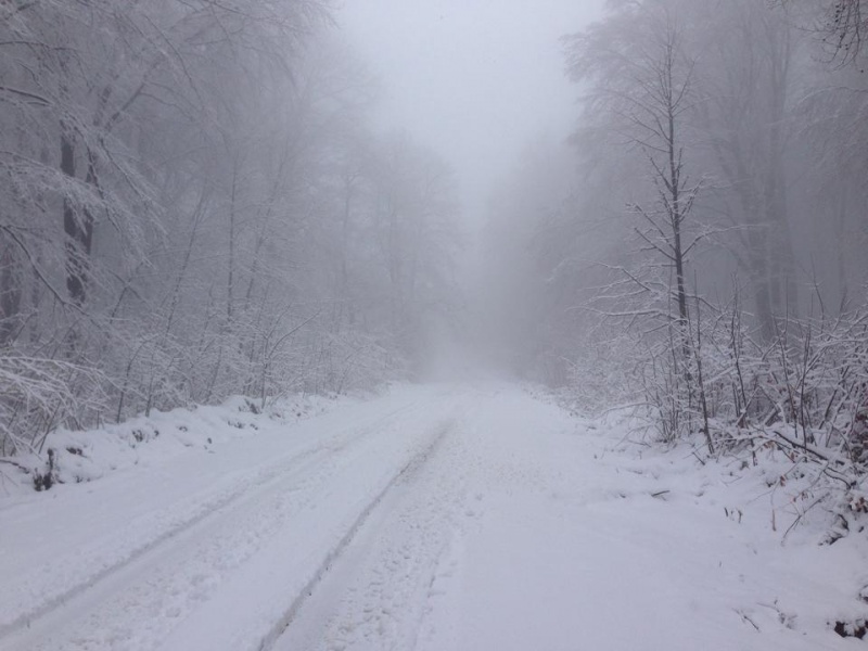 У Чернівцях на Цецино випав сніг (фото)