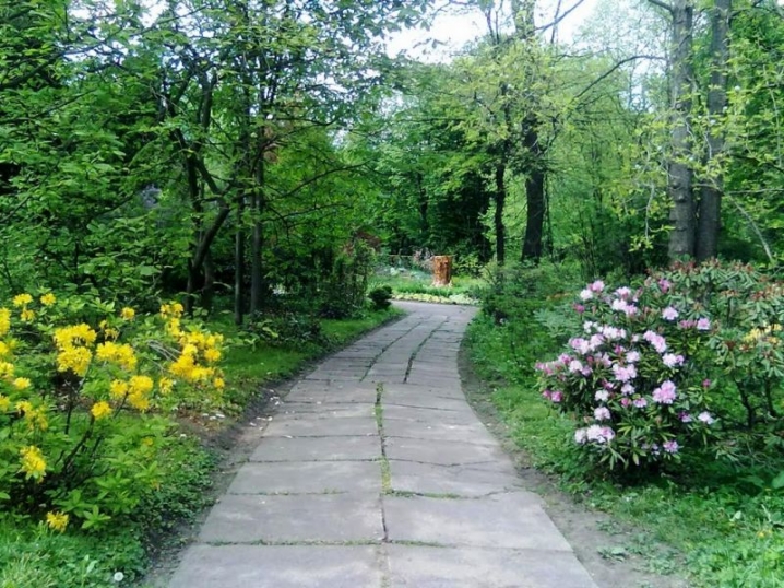 Чернівчани хочуть, щоб ботанічний сад можна було відвідувати на вихідних