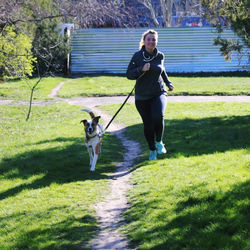 У Чернівцях відбудуться змагання з бігу з собаками