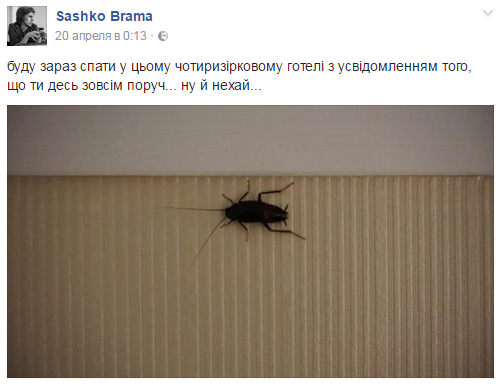У готелі депутата Чернівецької міськради турист знайшов таргана
