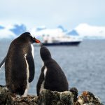 У Чернівцях триває виставка світлин, присвячених Антарктиді