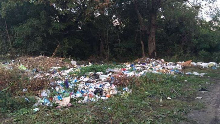 На Буковині засипали сміттям галявини між селами (фото)