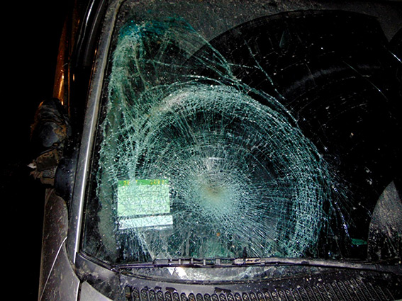 ДТП у Чернівецькій області: водій Audi збив пенсіонера