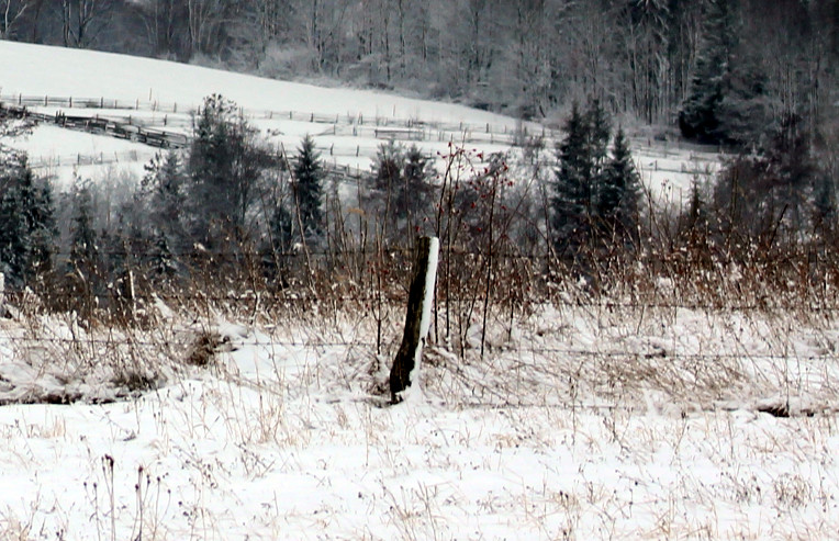 У Чернівецькій області в снігу знайшли тіло чоловіка