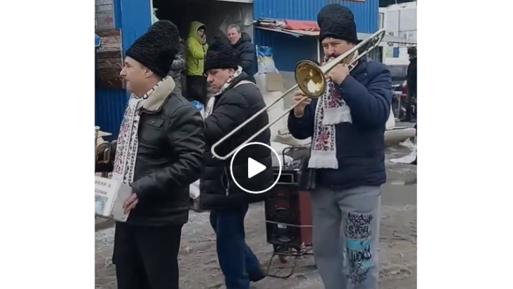В мережі набирає популярності відео музикантів, які на духових інструментах виконали Despacito на Калинівському ринку