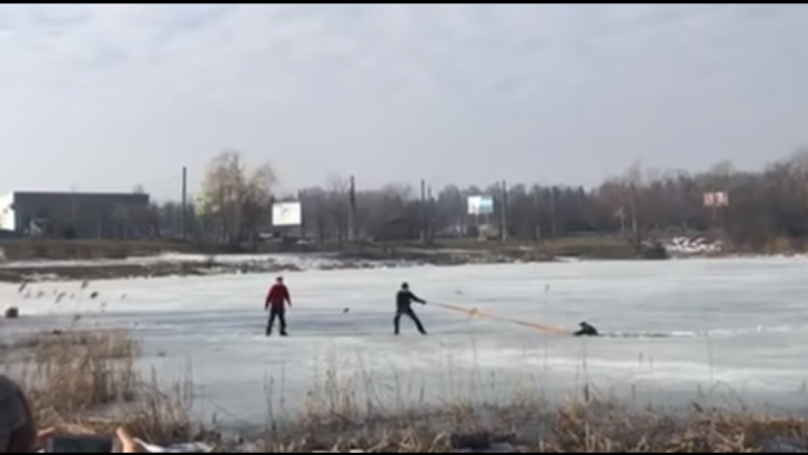 У Чернівцях на озері в парку “Жовтневий” чоловік провалився під лід