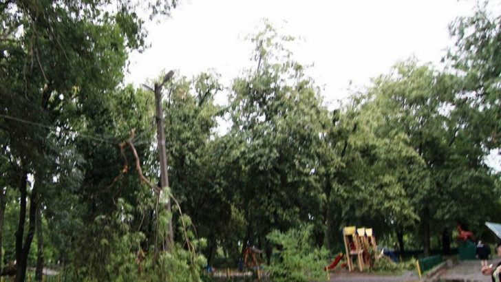 Негода на Буковині: без електрики 48 населених пунктів, повалені дерева, пошкоджені дахи