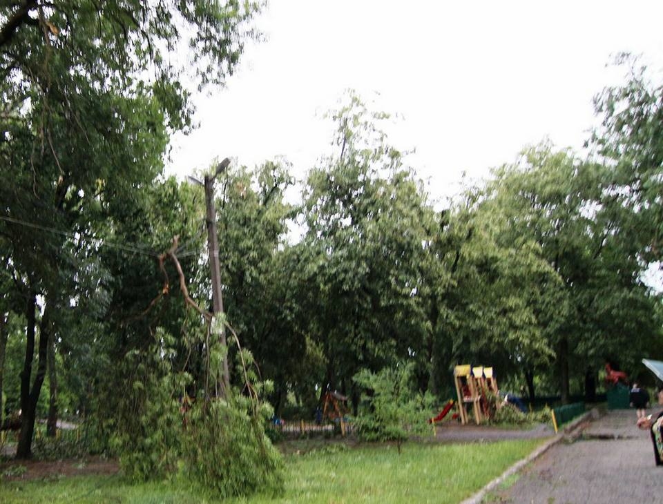 Негода на Буковині: без електрики 48 населених пунктів, повалені дерева, пошкоджені дахи 